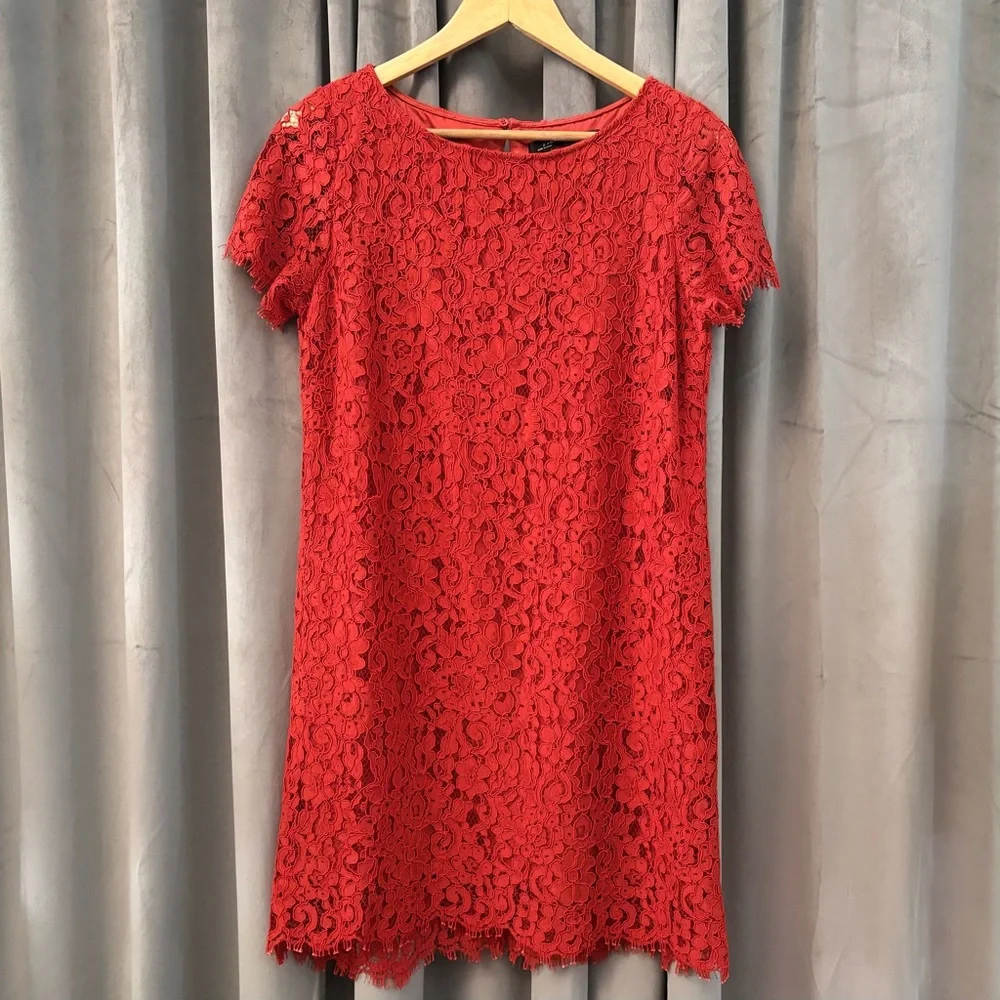 Stunning Zara Crochet Lace Short Sleeve Sheath Dress | Medium - Picture 1 of 12